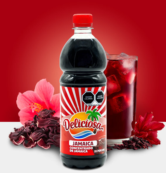 concentrado sabor Jamaica
